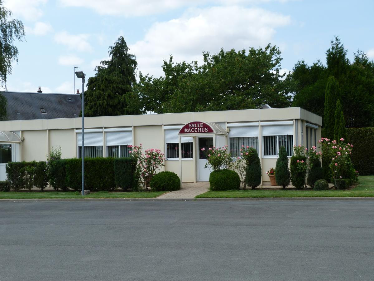 Hostellerie Du Chateau Saint-Pere-sur-Loire Buitenkant foto