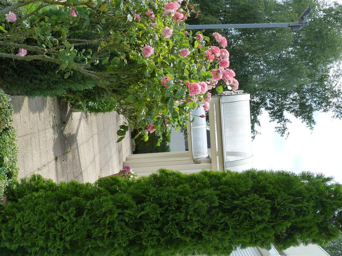 Hostellerie Du Chateau Saint-Pere-sur-Loire Buitenkant foto